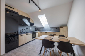 Apartmány Na Lánech, Litomyšl